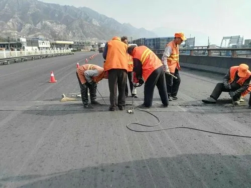 临泉道路桥梁病害治理